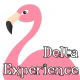 Delta Experience